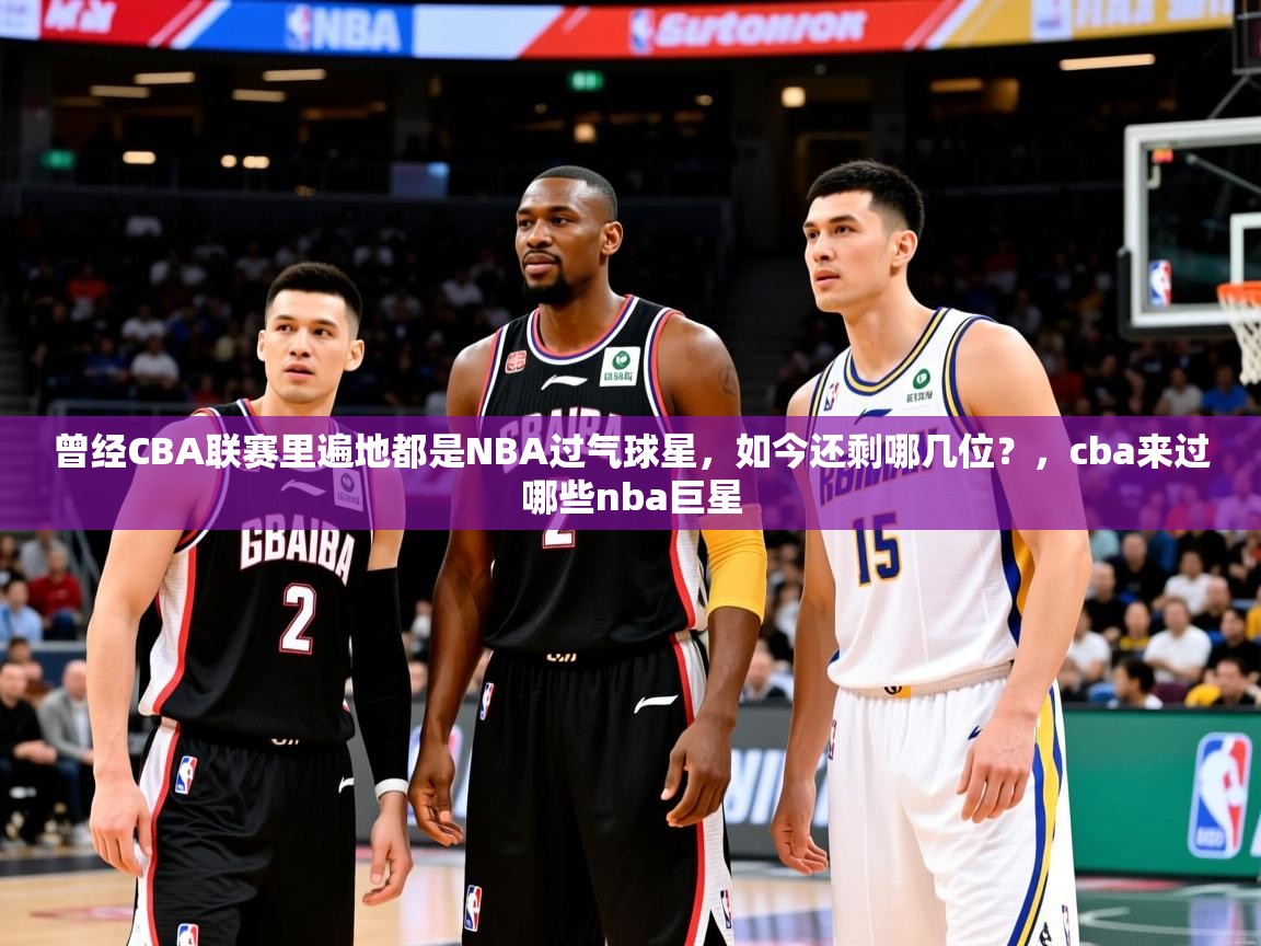 2025爱游戏登录界面曾经CBA联赛里遍地都是NBA过气球星，如今还剩哪几位？，cba来过哪些nba巨星