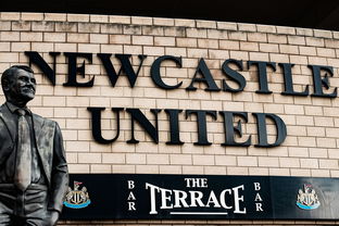 2025爱游戏中国官方网站入口炙热激情！最新国际足球盛事解读